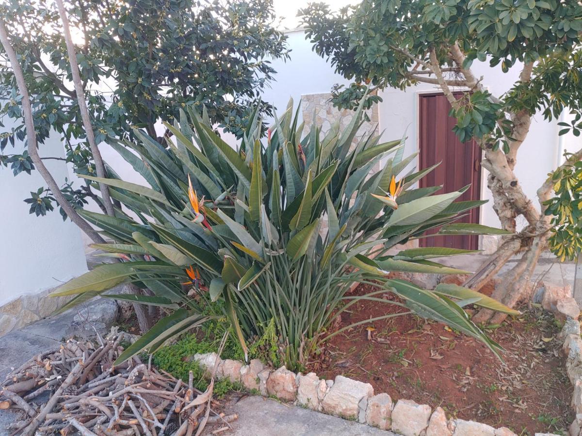 Villa Simonetta Alliste Dış mekan fotoğraf
