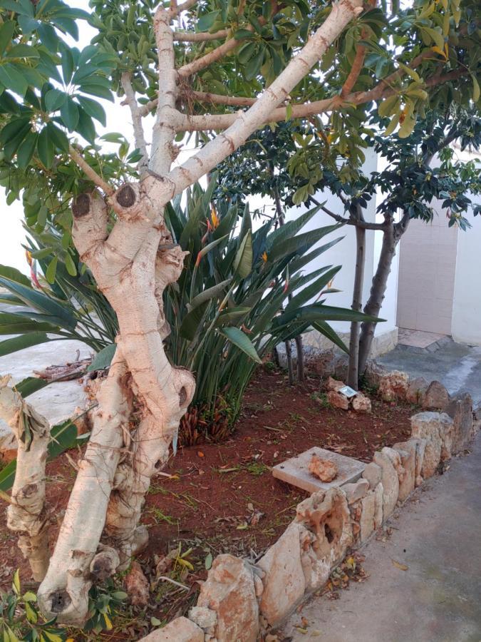 Villa Simonetta Alliste Dış mekan fotoğraf